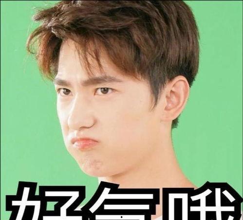 吃瓜少女张小寒本人,吃瓜少女的娱乐圈奇遇记