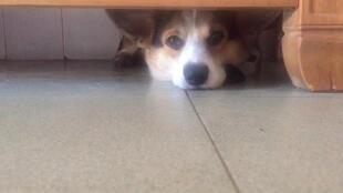 啾咪吃瓜,揭秘娱乐圈那些不为人知的幕后故事