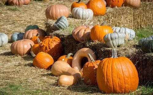 阿城吃瓜,揭秘娱乐圈背后的甜蜜与苦涩