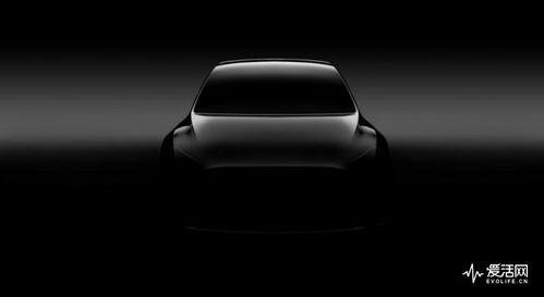 model y吃瓜,揭秘特斯拉新车型背后的故事与争议