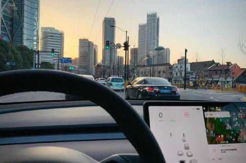 model y吃瓜,揭秘特斯拉新车型背后的故事与争议