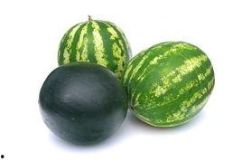 宁陵吃瓜事件,一场网络舆论的风暴与反思