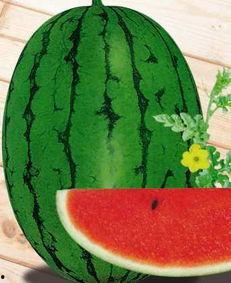 宁陵吃瓜事件,一场网络舆论的风暴与反思