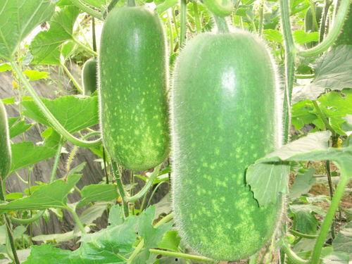 0713吃瓜,揭秘娱乐圈最新热点事件