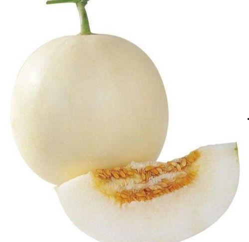 济宁任城区吃瓜,畅享清凉美食之旅