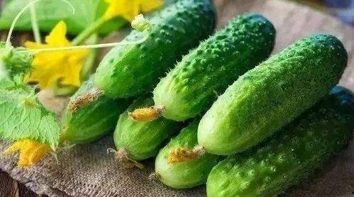 新鲜的瓜怎么吃,探索新鲜瓜果的多样食法