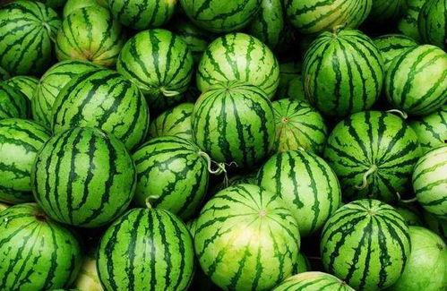 新鲜吃瓜,新鲜吃瓜盛宴来袭！