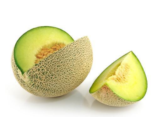 本特利吃哈密瓜,本特利与哈密瓜的甜蜜邂逅