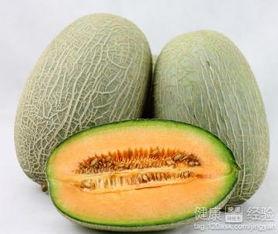 本特利吃哈密瓜,本特利与哈密瓜的甜蜜邂逅