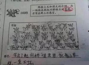 瓜哥带你吃瓜奇葩作文,那些令人捧腹的“吃瓜”奇文