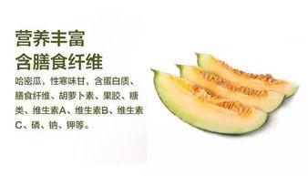 哈密吃瓜 哪里好,探寻最佳瓜果品尝地