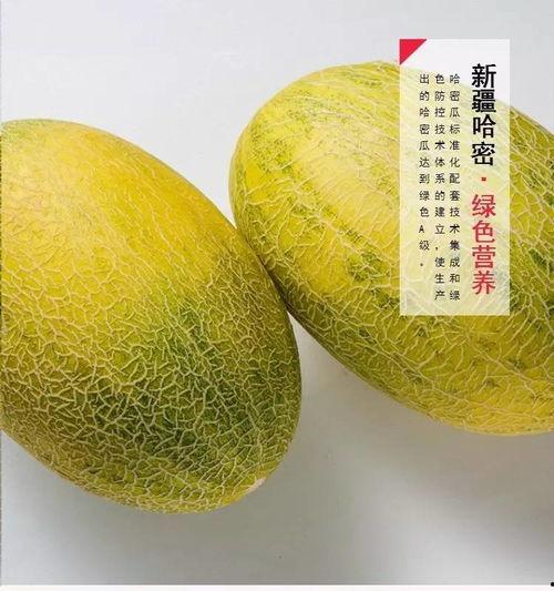 哈密吃瓜 哪里好,探寻最佳瓜果品尝地