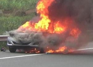 起火吃瓜,起火现场吃瓜群众的真实写照