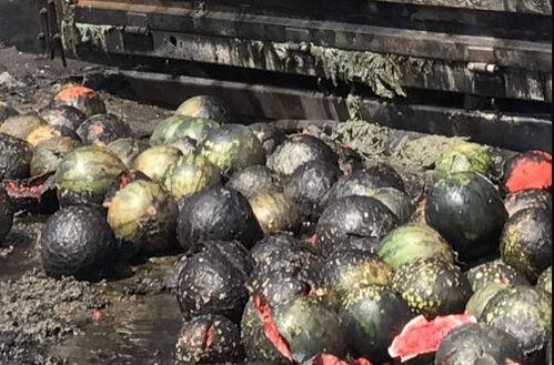 起火吃瓜,起火现场吃瓜群众的真实写照