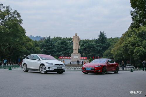 特斯拉里吃瓜,揭秘科技巨头里的“瓜田”趣闻