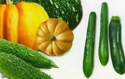 吃瓜社图片,一场视觉盛宴背后的故事