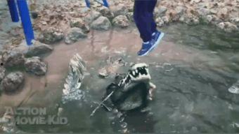 吃瓜群众鳄鱼视频,鳄鱼视频引发全网关注