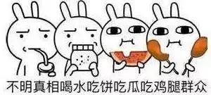 吃瓜群众宝贝们,吃瓜群众宝贝们的欢乐时光