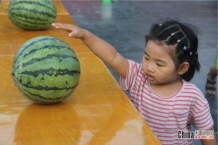 吃瓜群众宝贝们,吃瓜群众宝贝们的欢乐时光