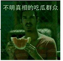 不明的吃瓜路人,一场网络迷雾中的身份之谜