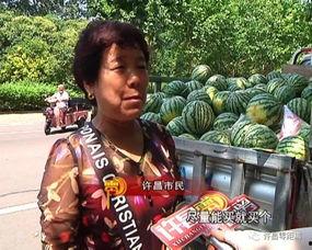 威远吃瓜群众,揭秘当地热点事件背后的故事