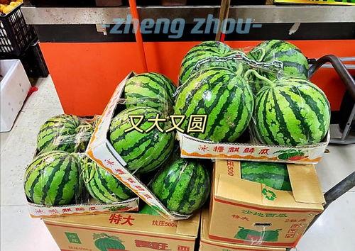 郑州管城吃瓜事件,一场网络热议背后的真相与反思