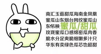 没事就当吃瓜群众,化身吃瓜群众，一窥娱乐圈风云变幻