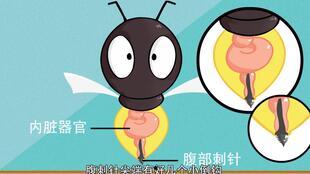 日常作死吃瓜,揭秘娱乐圈背后的疯狂故事