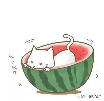 夏天吃瓜头像 可爱