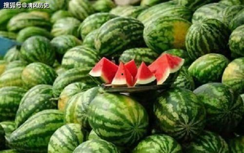 所有可以吃的瓜,盘点那些令人垂涎欲滴的美食瓜类