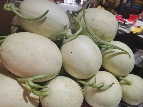 技术流吃瓜,揭秘科技圈幕后故事与热点事件