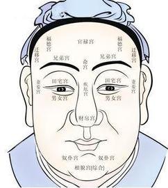 吃瓜的面相特点,吃瓜群众的独特特征解析