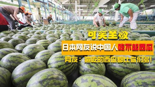 日韩看中国吃瓜,日韩视角下的中国“吃瓜”文化现象解析