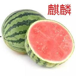 郁闷吃瓜,揭秘网络热议背后的心理现象