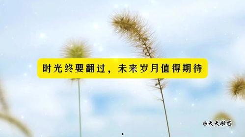 正能量吃瓜文案短句,短句中的甜蜜与温馨