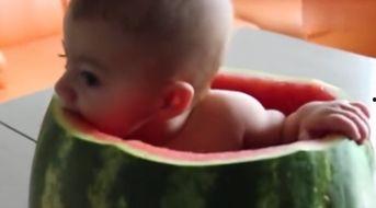 宝宝吃瓜视频全集,萌娃瓜趣大集合