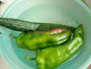 吃瓜ww片,一场网络热传的视觉盛宴