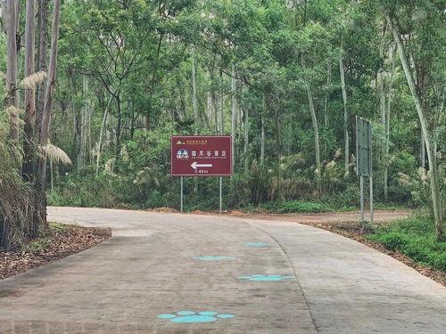 校园长椅打卡吃瓜,青春记忆的新篇章