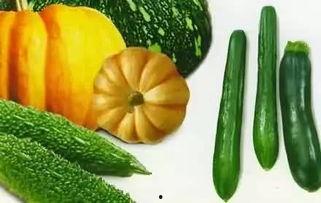 夏日吃瓜w,吃瓜盛宴来袭