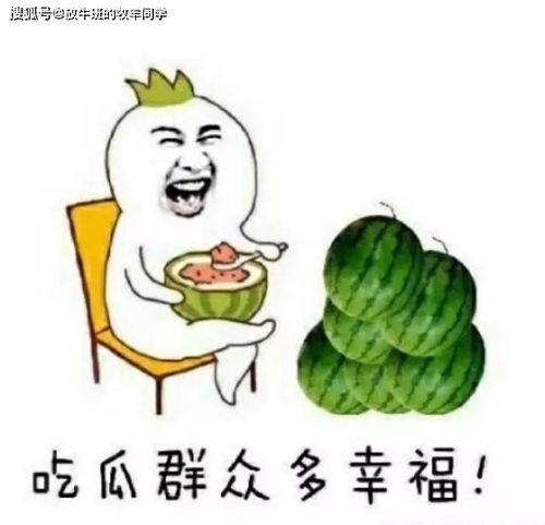 正常人吃瓜vs我吃瓜,普通人吃瓜与我的独特体验