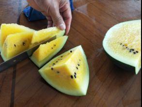 吊子瓜怎么吃,解锁美味新体验