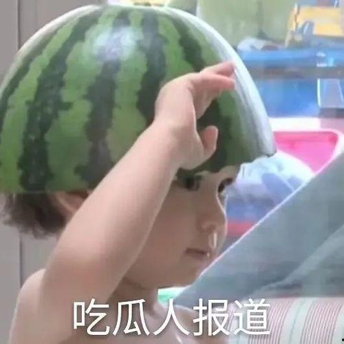 吃瓜表情包 文案,揭秘网络时代的趣味与讽刺