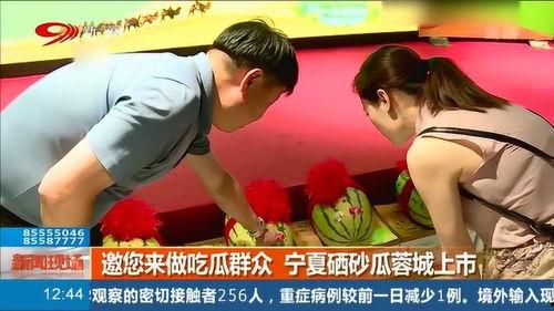 蓉城吃瓜群众,揭秘娱乐圈最新八卦风云