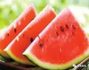 半山吃瓜懒爽爽,懒爽爽夏日时光