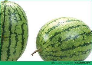 吃毛瓜过敏,探寻过敏源与应对策略