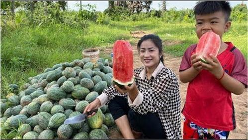 吃瓜妇女村里,揭秘乡村生活百态